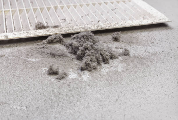 Best Affordable Duct Cleaning Services  in East Bangor, PA