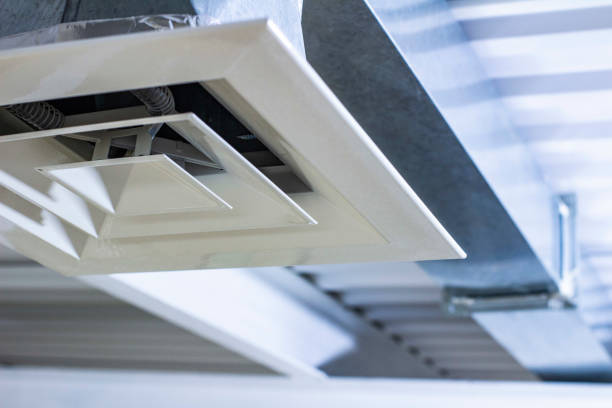 Best Air Duct Sanitizing Services  in East Bangor, PA