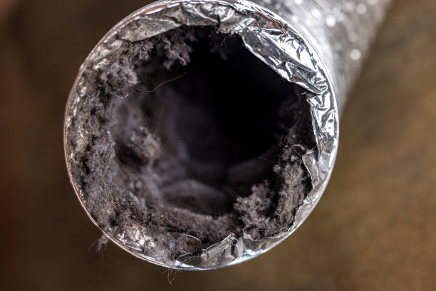 Best Air Duct Cleaning Near Me  in East Bangor, PA